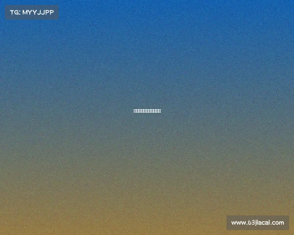 飞天猪网络科技有限公司